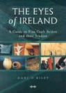 Dani O'Riley - The Eyes of Ireland