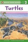 Pedro Julio Gonzalez, Jodi Huelin, Pedro Julio Gonzalez, Tamara Petrosino - Turtles