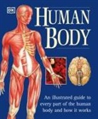 Ann Baggaley, Jill Hamilton, Martyn Page, Jane Perlmutter - The Human Body