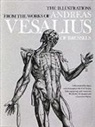C. D. O'Malley, C.D. O'Malley, Andreas Vesalius, Charles O'Malley, J. B. Saunders - Illustrations From the Works of Andreas Vesalius of Brussels
