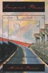 Michael Pearson - Imagined Places
