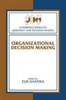 Zur Shapira, Lola Lopes, Zur Shapira - Organizational Decision Making