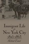 Robert Ernst - Immigrant Life in New York City, 1825-1863