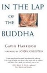 Joseph Goldstein, Gavin Harrison - In the Lap of the Buddha
