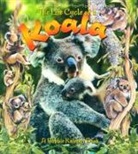 Bobbie Kalman, Heather Levigne - The Life Cycle of a Koala