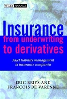E Briys, Eric Briys, Eric C. Briys, Eric De Varenne Briys, Eric Varenne Briys, Briys Eric... - Insurance: From Underwriting to Derivatives