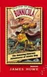 James Howe, James/ Helquist Howe, Brett Helquist - The Amazing Odorous Adventures of Stinky Dog