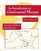 Don Cohen, John Upledger - An Introduction to Craniosacral Therapy