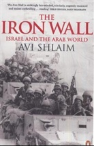 Avi Shlaim - The Iron Wall