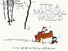 Bill Watterson - It's a Magical World