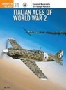 G Apostolo, Giorgio Apostolo, Apostolo Giorgio, G Massimello, Giovanni Massimello, Massimello Giovanni... - Italian Aces Of World War 2