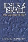 David E. Holwerda - Jesus and Israel