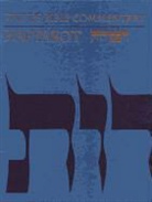 Michael Fishbane - The JPS Bible Commentary: Haftarot