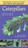 Jonathan Latimer, Jonathan P. Latimer, Jonathan P./ Nolting Latimer, Karen Stray Nolting, Amy Bartlett Wright, Amy Bartlett Wright - Caterpillars