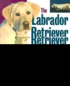 Audrey Pavia - The Labrador Retriever Handbook