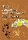 Lowes Dalbiac Luard - Anatomy and Action of the Horse