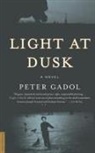 Peter Gadol - Light at Dusk