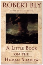 Robert Bly, Robert W. Bly - A Little Book on the Human Shadow