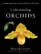 William Cullina - Understanding Orchids
