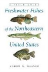 Robert Werner, Robert G Werner, Robert G. Werner - Freshwater Fishes of the Northeastern United States