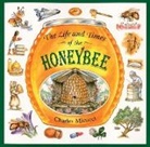 Charles Micucci - The Life and Times of the Honeybee