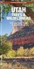 James Kavanagh, Waterford Press, Waterford Press, Raymond Leung - Utah Trees & Wildflowers