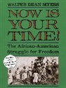Walter Dean Myers - Now Is Your Time!