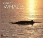 A. Rus Hoelzel, A. Rus/ Stern Hoelzel, Rus Hoelzel, S. Jonathan Stern - Minke Whales