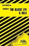 Rosetta James, Louisa S. Nye - The Bluest Eye and Sula