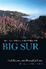 Paul Henson, Paul Usner Henson, Henson Paul, Donald J. Usner, Usner Donald J., Valerie A. Kells... - Natural History of Big Sur
