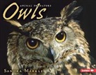 Sandra Markle - Owls