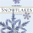 Kenneth Libbrecht, Kenneth George Libbrecht, Kenneth George Libbrecht - Little book of snowflakes