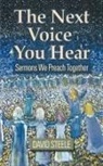 Dan Steele, David Steele - The Next Voice You Hear