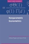 Adrian Pagan, Aman Ullah - Nonparametric Econometrics