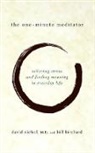 Bill Birchard, Birchard Bill, David Nichol, David A. Nichol, David Birchard Nichol, Nichol David - One Minute Meditator