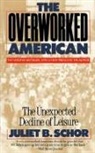 Juliet Schor, Juliet B Schor, Juliet B. Schor - Overworked American