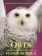 Berger, Cynthia Berger, Floyd Scholz, Tad Merrick - Owls