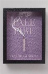 Vladimir Nabokov, Vladimir Vladimirovich Nabokov - Pale Fire