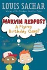 Adam Record, Louis Sachar, Adam Record, Amy Wummer - A Flying Birthday Cake