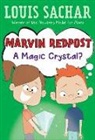 Louis Sachar, Amy Wummer, Adam Record, Amy Wummer - Marvin Redpost #8: A Magic Crystal?