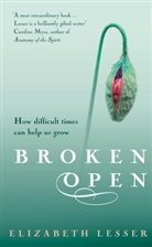 Elizabeth Lesser, Lesser Elizabeth - Broken Open
