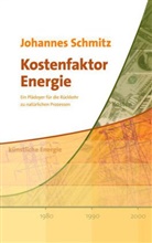 Johannes Schmitz - Kostenfaktor Energie