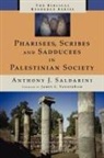 Anthony J. Saldarini - Pharisees, Scribes and Sadducees in Palestinian Society