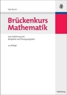 Karl Bosch - Brückenkurs Mathematik