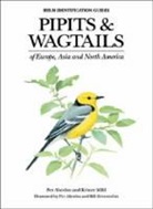 Per Alstrm, Per Alstroem, Per Alstrom, Per Alström, Et Al., Krister Mild... - Pipits and Wagtails of Europe, Asia and North America