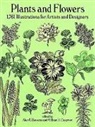 Bassette, Bessette Chapman, Bessette;Chapman, Bessette;Chapman Bessette;Chapman, BessetteChapman Bessette;Chapman, Chapman... - Plants and flowers