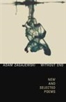 Zagajewski Adam, Adam Zagajewski - Without End