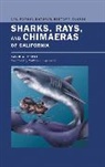David Ebert, David A. Ebert, Ebert David, Mathew D. Squillante, Squillante Mathew D. - Sharks, Rays, and Chimaeras of California