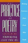 Robin Behn, Robin Behn, Chase Twichell - The Practice of Poetry