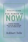 Eckhart Tolle, Marc Allen - Practicing the Power of Now